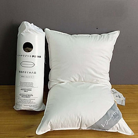 Mua Ruôt gối lông vũ nhập khẩu Nhật Bản LIDACO cao cấp kích thước 50x70cm