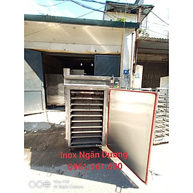 Tủ sấy thực phẩm 10 khay