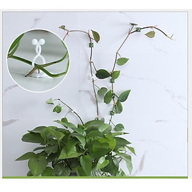 Mua 10 KẸP CỐ ĐỊNH CÂY DÂY LEO
