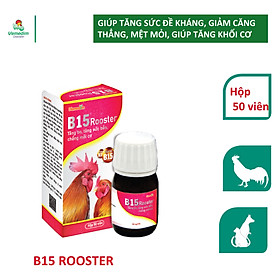 Vemedim B15 Rooster giúp tăng khối cơ, giảm căng thẳng, mệt mỏi, tăng cường đề kháng cho gà đá, chó, mèo, lọ 50 viên