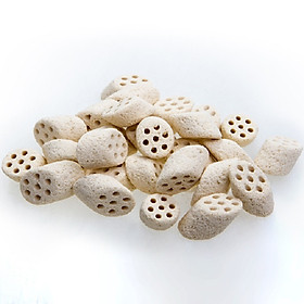 Sứ Lọc Củ Sen Nitro Ring II – Mountain Tree hộp 5 lít