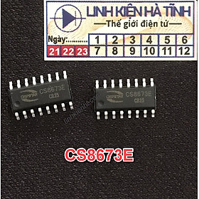 Mua Túi 2 con IC công suất CS8673 CS8673E ESOP-16 thay thế TPA3116d2 chíp nhỏ