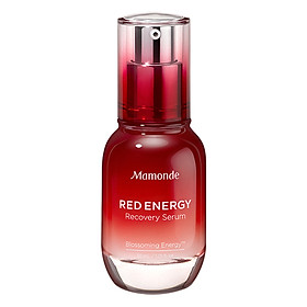 Tinh Chất Cung Cấp Năng Lượng Phục Hồi Cho Làn Da Rạng Rỡ Mamonde Red Energy Recovery Serum 30ml - 110651542