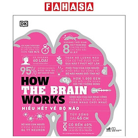 How The Brain Works - Hiểu Hết Về Bộ Não
