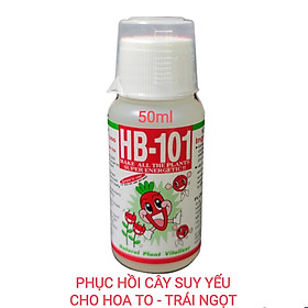 CHẤT TĂNG CƯỜNG SINH TRƯỞNG THỰC VẬT HB-101 (VITALIZER) Chai 50ml