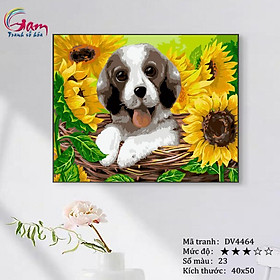 Mua Tranh sơn dầu số hoá tự tô màu Gam DV4464 40x50cm căng sẵn khung