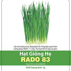 Hạt giống Hẹ Lá R A D O 83 chịu nhiệt 1gr - Cây hẹ có khả năng sinh trưởng mạnh dễ trồng và trồng quanh năm