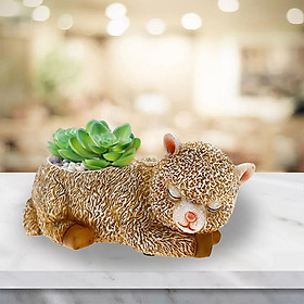 Animals Succulent Pots Home Decor Creative Plant Pots Desktop Decoration
