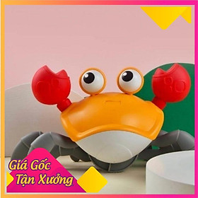 Đồ Chơi Con Cua Cho Bé Yêu
