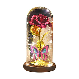 Flower Gift LED Rose Butterfly Lamp Bedside Light Rose Flower Gifts for Women, Anniversary, Xmas ,Wedding