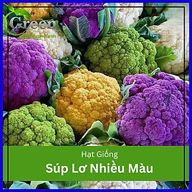 Hạt Giống Súp Lơ Nhiều Màu F1