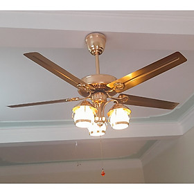 Mua Quạt trần trang trí  quạt trần đèn  quạt trân tân cổ điển 5 cánh kim loại mạ đồng  mạ vàng động cơ Dc điều khiển từ xa 6 ssoos quay tiến lùi làm mát  hút ẩm tạo điểm nhấn đắt giá cho không gian nội thất 1273