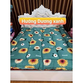 Mua nệm topper mềm êm mẫu mã đa dạng được chọn mẫu