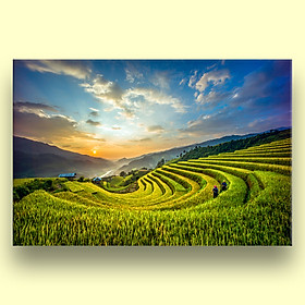 Mua Tranh Treo Tường Trang Trí In Phun UV Trên Vải Canvas Bọc Khung Gỗ Phong Cảnh Mù Cang Chải Việt Nam