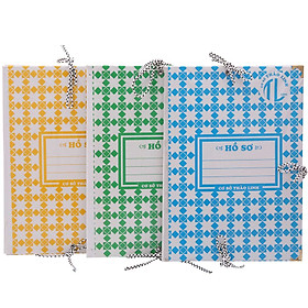 Xấp 3 bìa 3 dây tl màu ngẫu nhiên