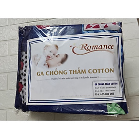 Mua Drap bọc đệm bảo vệ nệm ngủ gia đình in họa tiết đẹp sang trọng  chất liệu 100% cotton  cao cấp chống nóng lưng khi nằm  đầy đủ các kích cỡ phù hợp với mọi loại giường