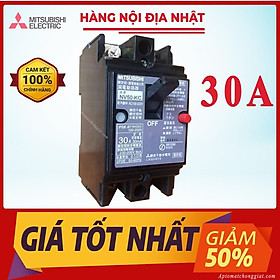 Aptomat chống giật MITSUBISHI - FUJI Nhật 30A (cầu dao chống giật hàng Nhật bãi) Lắp Tổng