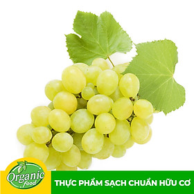 [Chỉ Giao HCM] - Nho xanh không hạt Mỹ (Hàng Air) 500g