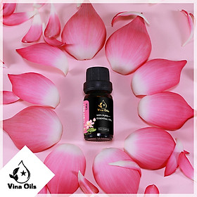 Tinh Dầu Sen Vina Oils 10ml - Lotus Essetial Oil 10ml - Chiết Xuất Từ Cánh Hoa - Với Hương Thơm Ngọt Ngào Thanh Khiết Giúp Giải Tỏa Mệt Mỏi, Căng Thẳng, Chống Lão Hóa, Lưu Thông Tuần Hoàn Máu, Cho Tinh Thần Thư Thái Và Lối Sống Tích Cực