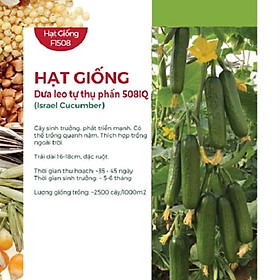 Hạt Giống Dưa Leo Tự Thụ Phấn Israel F1 508IQ ( 1 Gói )