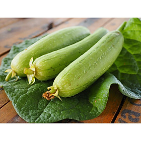 Mua Bộ 1 gói Hạt giống mướp hương