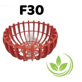 1 chậu trồng lan dáng bí fi 30