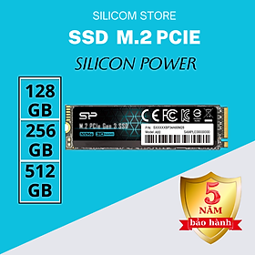 Ổ cứng Silicon Power M.2 2280 PCIe SSD A60 128GB - Hàng chính hãng