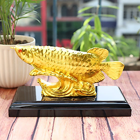 Mua Tượng Cá Rồng phong thuỷ mạ vàng 24K