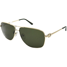 Kính mát nam Salvatore Ferragamo SF170S