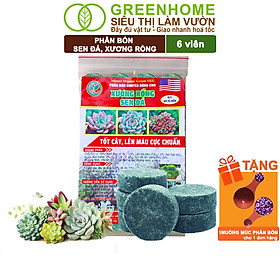 Phân bón sen đá greenhome, gói 24 viên, kích rễ, lên màu chuẩn, dùng cho cây mọng nước, xương rồng
