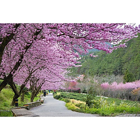 Mua Tranh Dán Tường Phong Cảnh 3D Cao Cấp - VAD_SSTH04018 T3DMN_T7