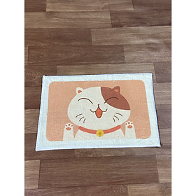 Mua THẢM CHÂN LÔNG CỪU THẢM CHÙI CHÂN CHỐNG TRƯỢT SIÊU THẤM 40x60CM