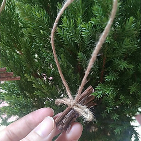 Mua Quả Thông  Lát Cam Sấy  Vỏ Quế  Bó Củi Khô  Hoa Hồi  Bông Gòn Trang Trí Cây Noel  Bánh Kem Giáng Sinh