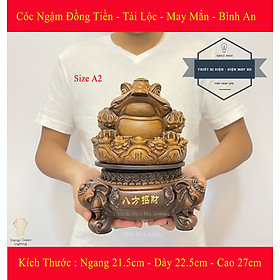 Mua Tượng Cóc Ngậm Đồng Tiền 3 Chân Thiềm Thừ - Xoay 360 Độ - Mang Lại Tài Lộc   May Mắn   Bình An - Size A2 - Có Video Thực Tế