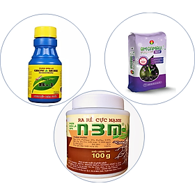 Mua Combo chăm sóc phục hồi cây mai vàng sau Tết (gói Cơ bản)