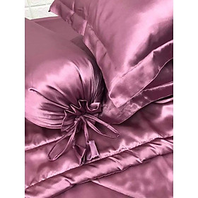 Mua   Vỏ gối lẻ   Áo gối  Vỏ gối nằm  Gối ôm phi lụa JejuBedding mát mịn
