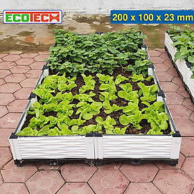 CHẬU GHÉP THÔNG MINH 200x100x23 Cm: Thẩm mỹ, kết cấu chắc, dễ lắp đặt, phù hợp mọi cây trồng đô thị.