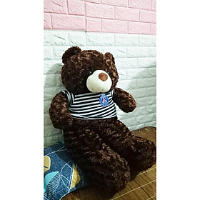 Gấu bông teddy 1m đáng yêu Tặng kèm gấu bông trà sữa xinh xắn