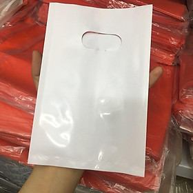 Mua 100 túi nilon nhỏ đựng mỹ phẩm ( túi PE bóng đẹp  đựng son  phấn  mỹ phẩm..)