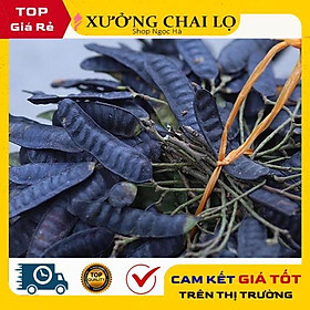 Mua Trái bồ kết khô dùng gội đầu  xông phòng hàng mới đẹp