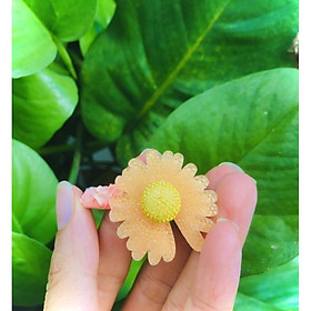 Kẹp tóc handmade