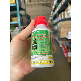Mua Thuốc Trừ Sâu  Bọ Xít  Rệp  Muỗi Hành Tiper Alpha 5EC (100ml)