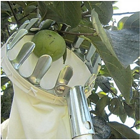 Bộ dụng cụ hái quả, trái cây tiện lợi