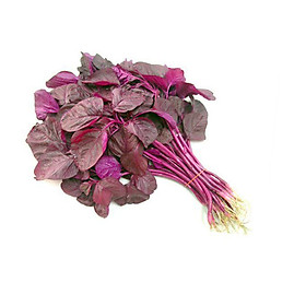 Mua Hạt Giống Rau Dền Đỏ
