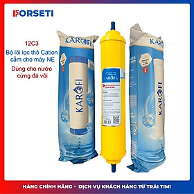 Mua Combo lõi lọc thô 123 Karofi với lõi số 2 Cation Resins T33 chính hãng Dùng cho các máy N-e117  N-e118 - Hàng Chính Hãng