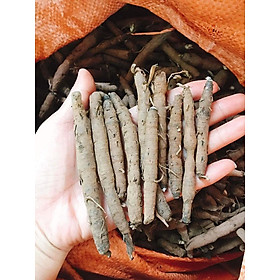 Mua Cây sâm tiên mao - Cây sâm cau đen - Khô 1kg