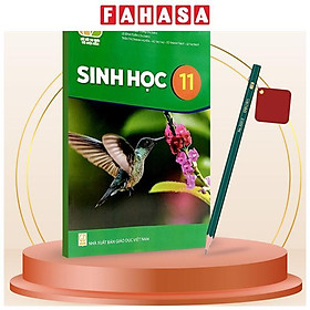 Sách Giáo Khoa Sinh Học 11 (Kết Nối) (Chuẩn) - Kèm Bút Chì