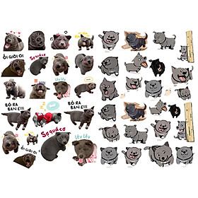 Sticker Bé Dúi Set 60 ảnh Nguyễn Văn Dúi