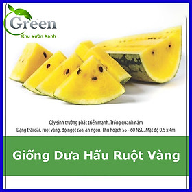 Hạt Giống Dưa Hấu Ruột Vàng 5H