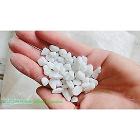 Mua 1Kg Sỏi Trang Trí